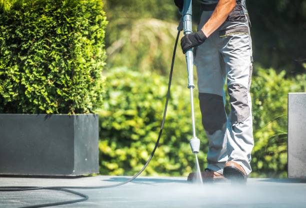 Best Building Exterior Washing  in Bexley, OH