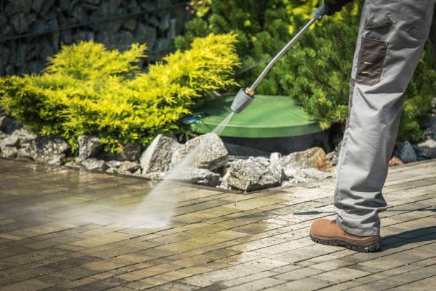 Best Sidewalk and Walkway Cleaning  in Bexley, OH